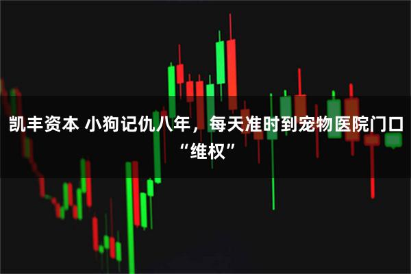 凯丰资本 小狗记仇八年，每天准时到宠物医院门口“维权”