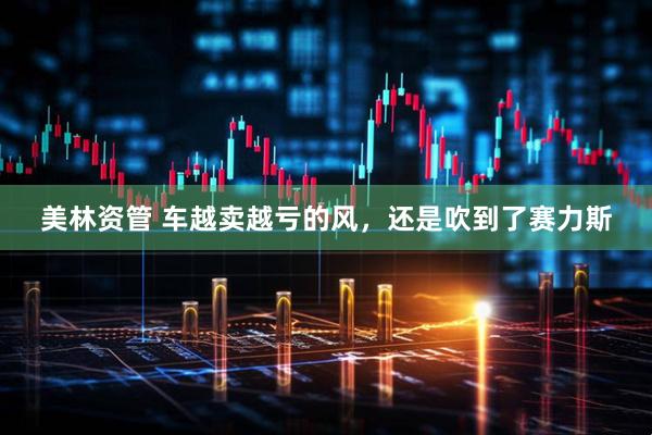 美林资管 车越卖越亏的风，还是吹到了赛力斯