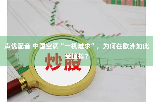 声优配音 中国空调“一机难求”，为何在欧洲如此受追捧？